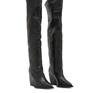 Women's Reina Pointed Toe Over The Knee Boots